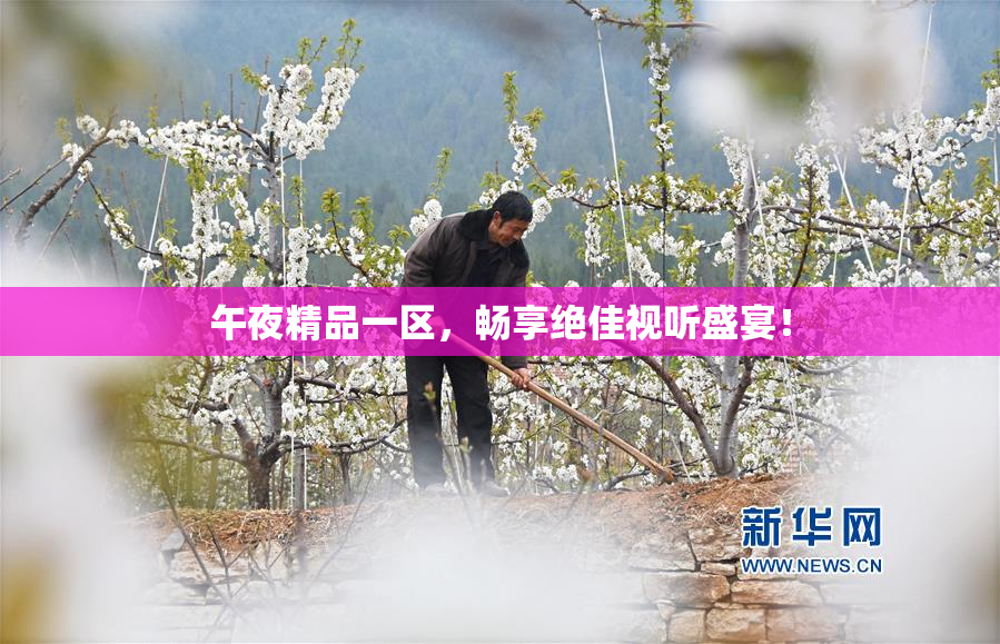 午夜精品一区，畅享绝佳视听盛宴！