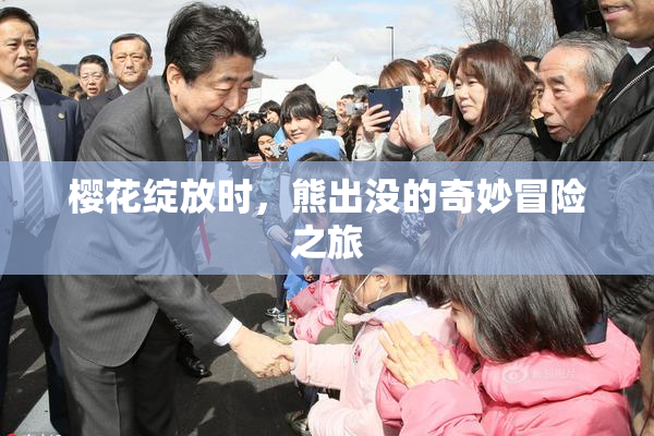 樱花绽放时，熊出没的奇妙冒险之旅