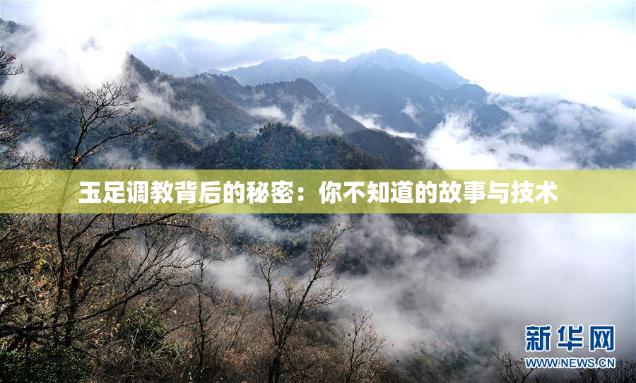 玉足调教背后的秘密：你不知道的故事与技术