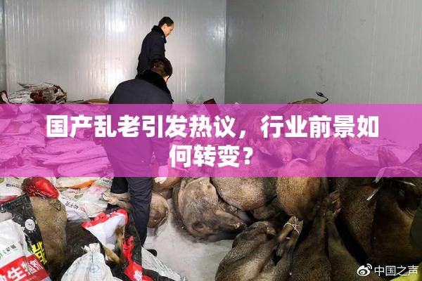 国产乱老引发热议，行业前景如何转变？