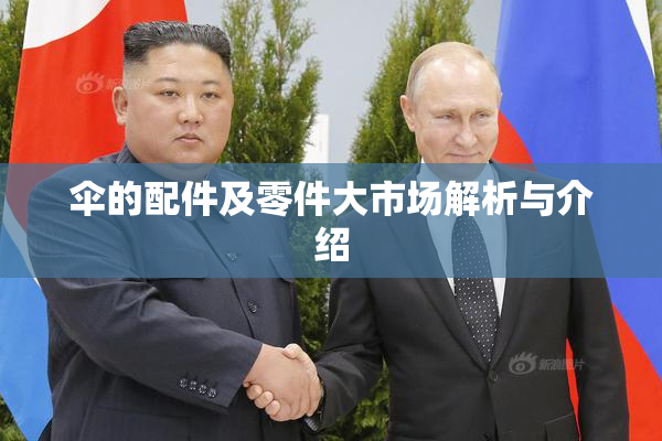 伞的配件及零件大市场解析与介绍