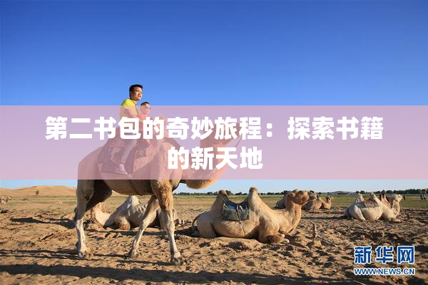 第二书包的奇妙旅程：探索书籍的新天地