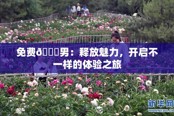 免费🔞男：释放魅力，开启不一样的体验之旅