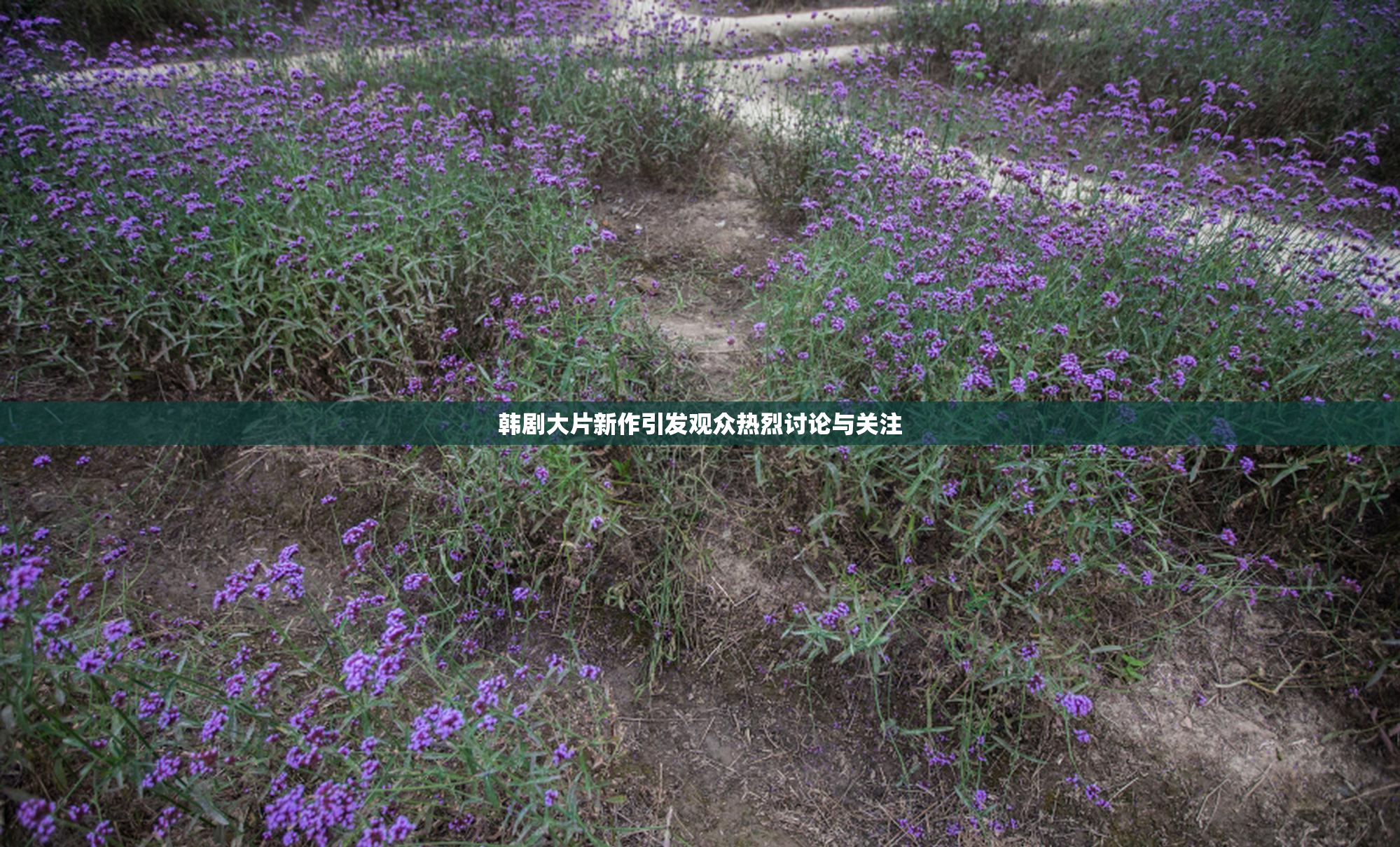 韩剧大片新作引发观众热烈讨论与关注
