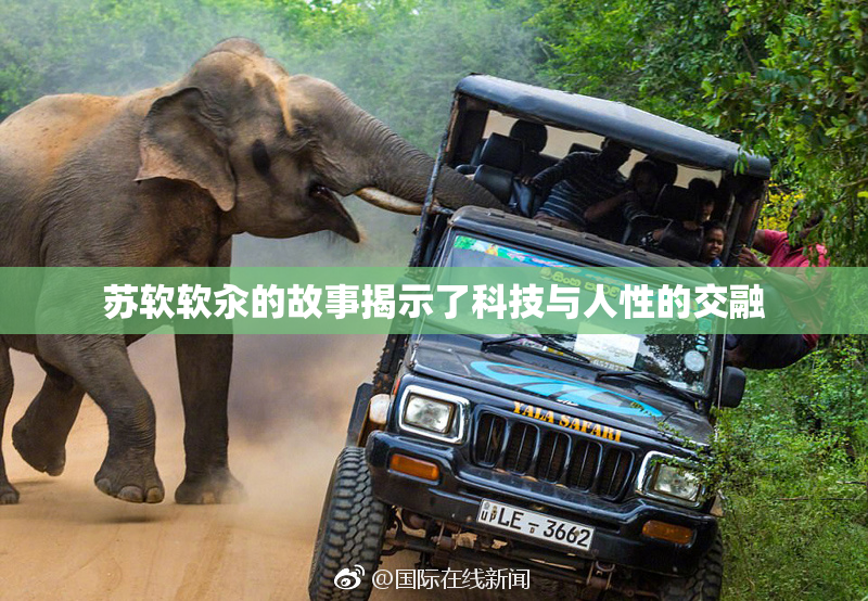 苏软软汆的故事揭示了科技与人性的交融