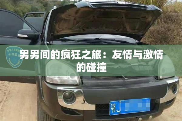 男男间的疯狂之旅：友情与激情的碰撞