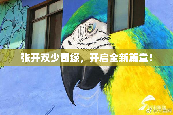 张开双少司缘，开启全新篇章！