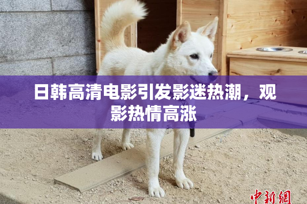 日韩高清电影引发影迷热潮，观影热情高涨
