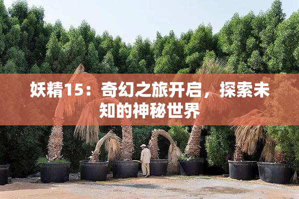 妖精15：奇幻之旅开启，探索未知的神秘世界