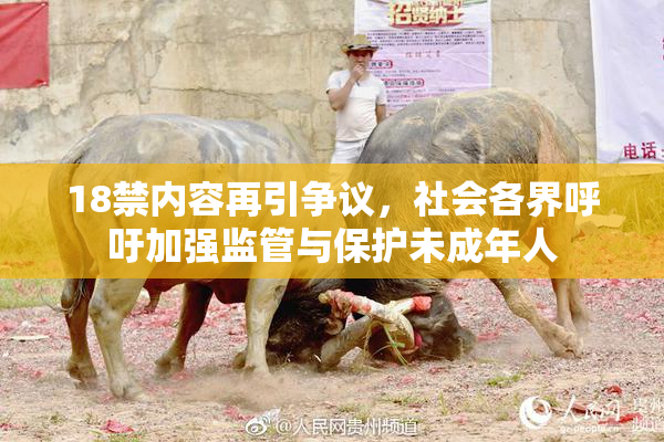 18禁内容再引争议，社会各界呼吁加强监管与保护未成年人