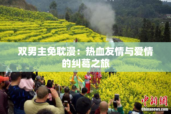 双男主免耽漫：热血友情与爱情的纠葛之旅