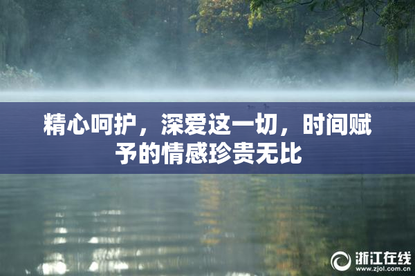 精心呵护，深爱这一切，时间赋予的情感珍贵无比