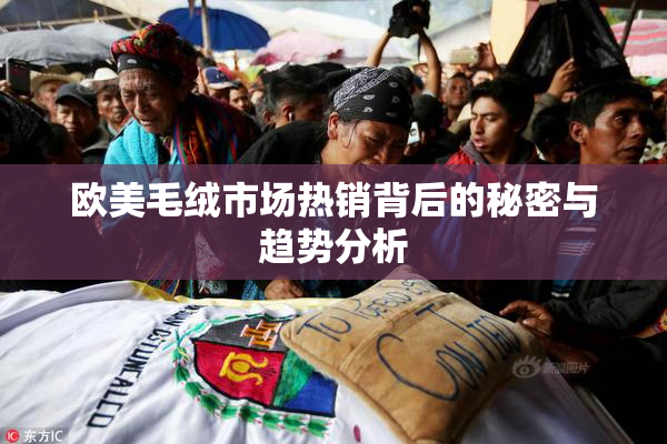 欧美毛绒市场热销背后的秘密与趋势分析
