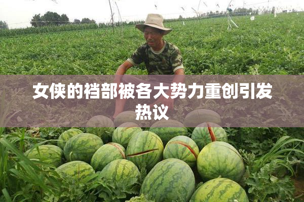 女侠的裆部被各大势力重创引发热议