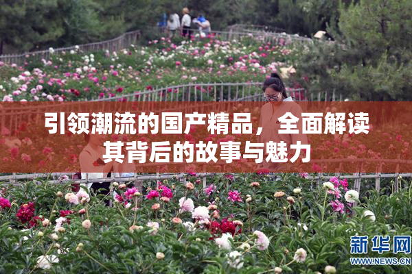 引领潮流的国产精品，全面解读其背后的故事与魅力