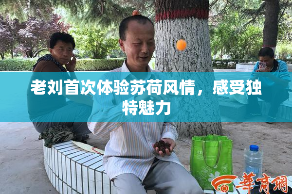 老刘首次体验苏荷风情，感受独特魅力