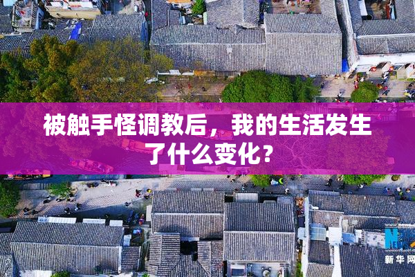 被触手怪调教后，我的生活发生了什么变化？