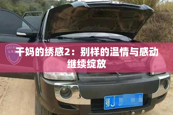 干妈的绣感2：别样的温情与感动继续绽放