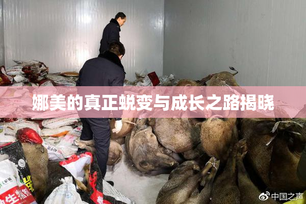 娜美的真正蜕变与成长之路揭晓
