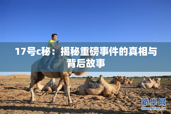 17号c秘：揭秘重磅事件的真相与背后故事