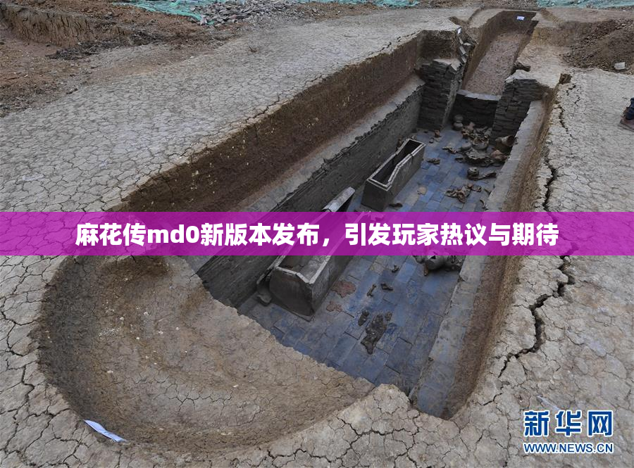 麻花传md0新版本发布，引发玩家热议与期待