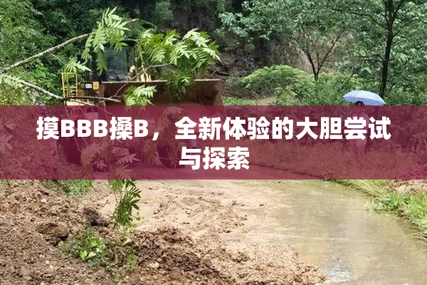 摸BBB搡B，全新体验的大胆尝试与探索