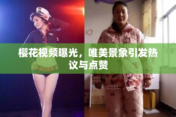 樱花视频曝光，唯美景象引发热议与点赞
