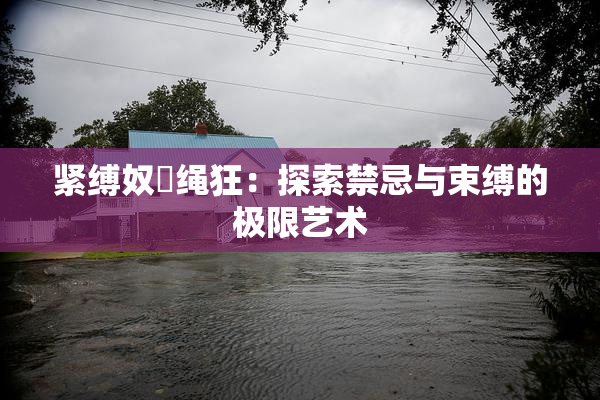 紧缚奴隷绳狂：探索禁忌与束缚的极限艺术