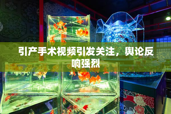 引产手术视频引发关注，舆论反响强烈