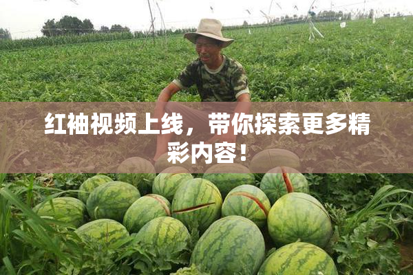 红袖视频上线，带你探索更多精彩内容！