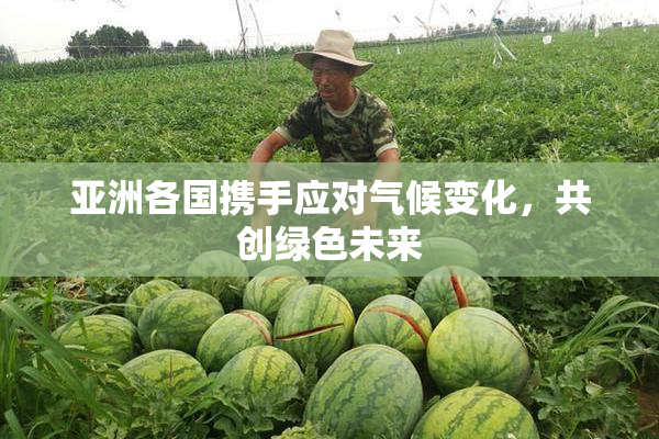 亚洲各国携手应对气候变化，共创绿色未来
