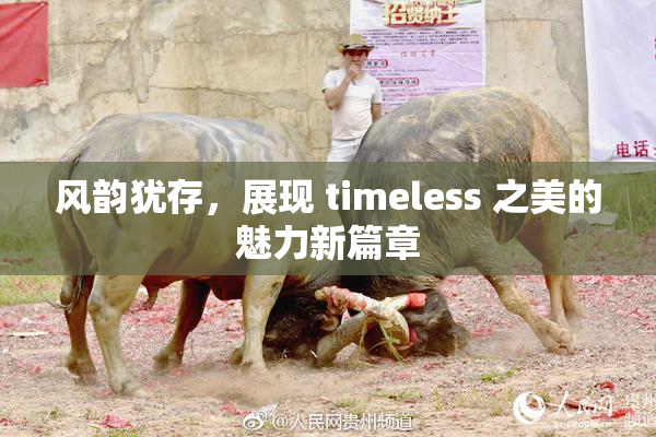 风韵犹存，展现 timeless 之美的魅力新篇章