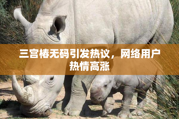 三宫椿无码引发热议，网络用户热情高涨