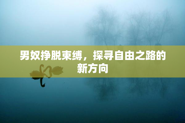 男奴挣脱束缚，探寻自由之路的新方向