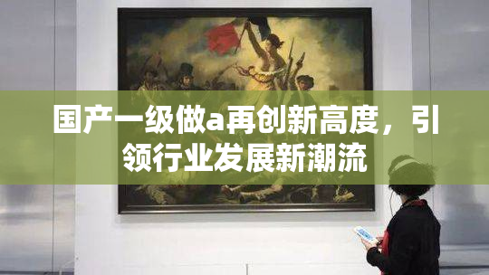 国产一级做a再创新高度，引领行业发展新潮流