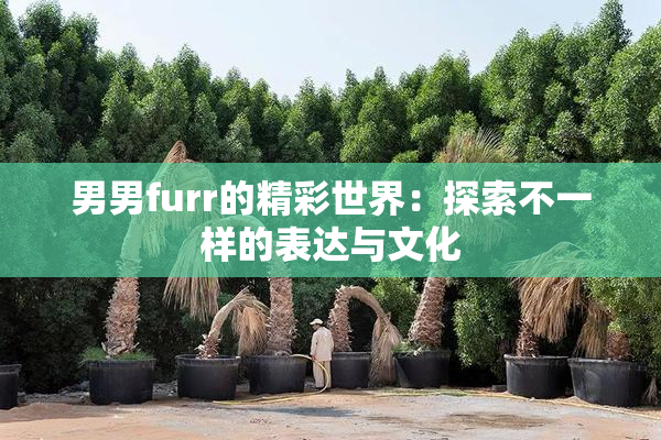 男男furr的精彩世界：探索不一样的表达与文化