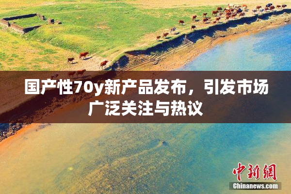 国产性70y新产品发布，引发市场广泛关注与热议