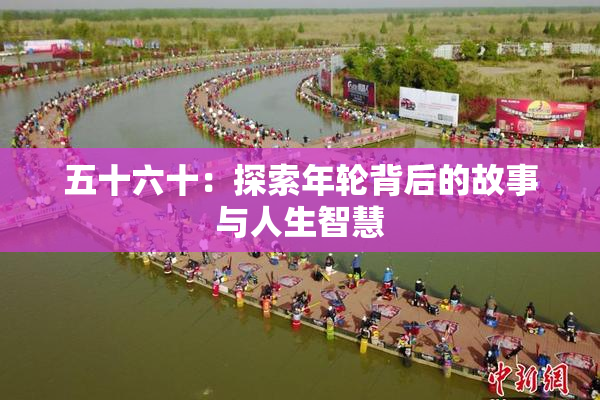 五十六十：探索年轮背后的故事与人生智慧