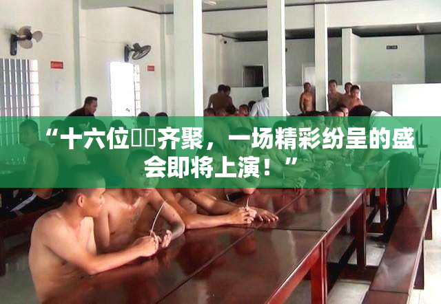 “十六位妺妺齐聚，一场精彩纷呈的盛会即将上演！”