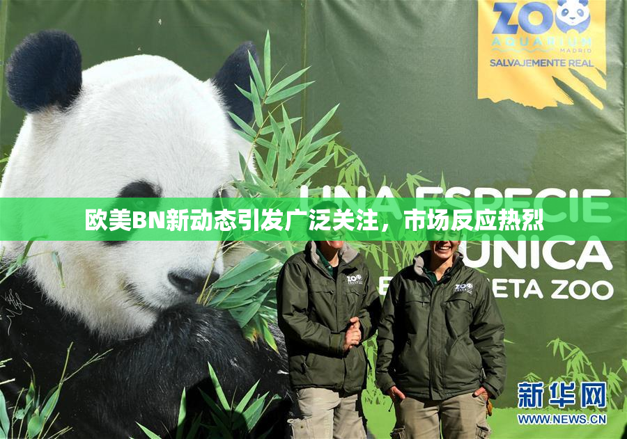 欧美BN新动态引发广泛关注，市场反应热烈