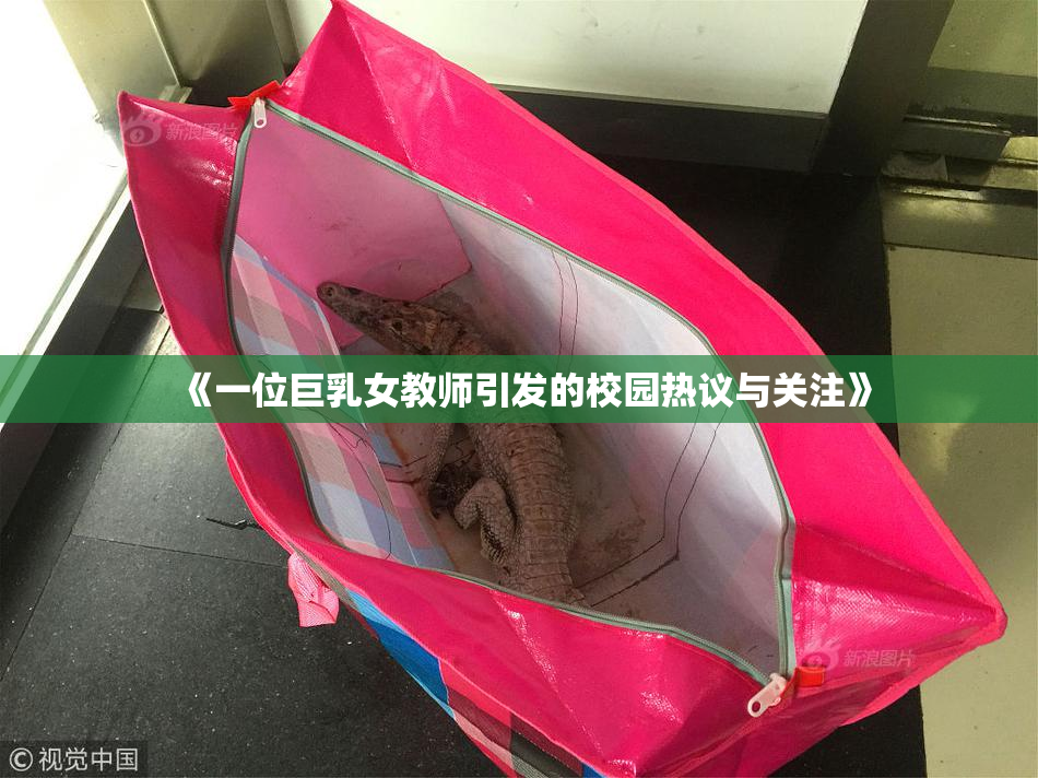 《一位巨乳女教师引发的校园热议与关注》