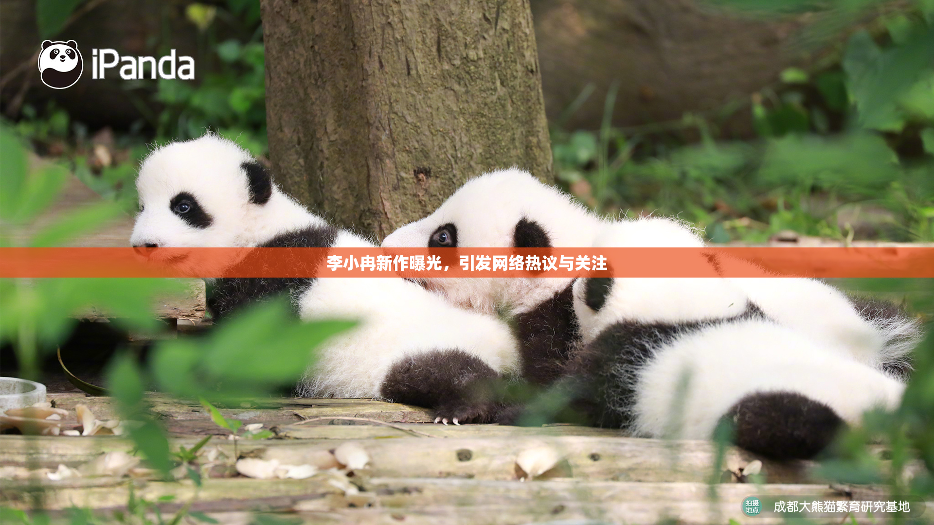李小冉新作曝光，引发网络热议与关注
