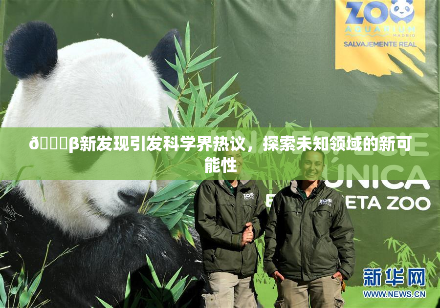 🔞β新发现引发科学界热议，探索未知领域的新可能性