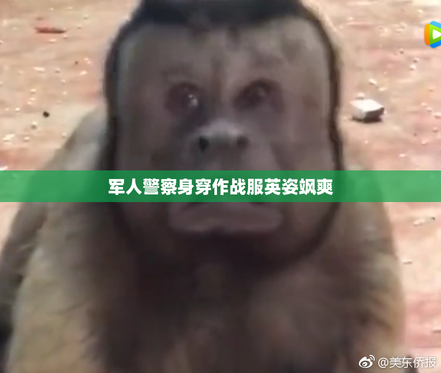 军人警察身穿作战服英姿飒爽