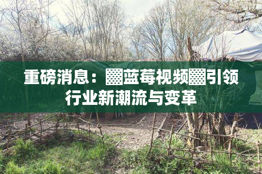 重磅消息：▓蓝莓视频▓引领行业新潮流与变革