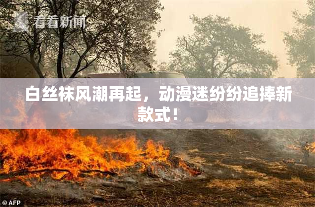 白丝袜风潮再起，动漫迷纷纷追捧新款式！