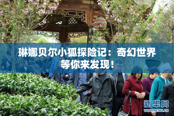 琳娜贝尔小狐探险记：奇幻世界等你来发现！