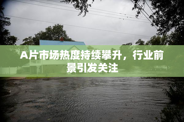 A片市场热度持续攀升，行业前景引发关注