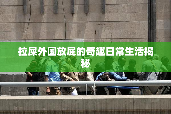 拉屎外国放屁的奇趣日常生活揭秘
