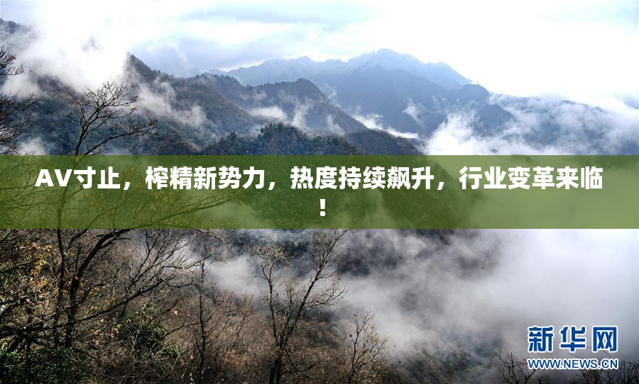 AV寸止，榨精新势力，热度持续飙升，行业变革来临！